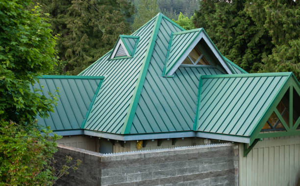 Best Roof Moss and Algae Removal  in Godley, TX