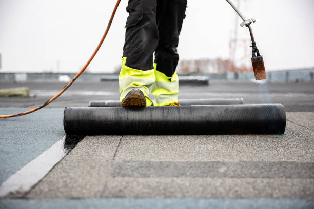 Best Solar Panel Roofing Installation  in Godley, TX