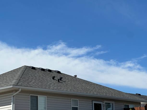Best Roof Maintenance and Cleaning  in Godley, TX