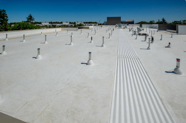 Best Roof Moss and Algae Removal  in Godley, TX
